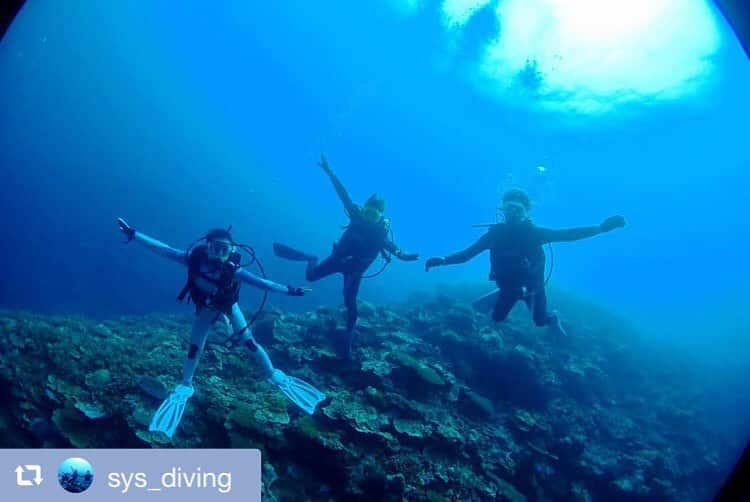 秋元才加さんのインスタグラム写真 - (秋元才加Instagram)「🐠🐟🐡 この度、スキューバーダイビングのライセンスを心友トリオ3人が取得したということで、スキューバーダイビング同好会を結成しました！！ 活動につきましてはこちらの【SyS diving同好会☺︎】専用アカウントでアップしていきたいと思います！！ お楽しみに〜〜🐠🐟🐡💕 ． #scubadiving  #diving  #心友トリオ #大島優子 #秋元才加 #宮澤佐江 #sysdiving #sysdiving同好会  3人で楽しく活動する事になりましたー☺️🏖 完全プライベートの趣味ですー。 色々これから発信出来たらと思います。 お楽しみに〜🌈🐡🐠🐬」5月12日 15時46分 - areasayaka