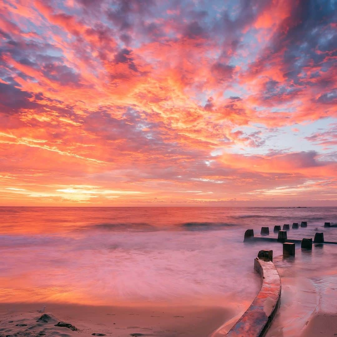 Nikon Australiaさんのインスタグラム写真 - (Nikon AustraliaInstagram)「"One of the most valuable things I have learnt in my ten year photography career is patience. Get out and set up an hour before sunrise... and wait.  The beautiful intense colours sometimes last for ages, but most of the time they fade in minutes, so you have to have your settings and composition ready to go well before sunrise or you'll blink and miss them.  This shot was taken at the Ross Jones Memorial Pool at Coogee Beach, just before the sun rose over the horizon." - @vividescapes  Camera: Nikon #D810 Lens: AF-S NIKKOR 16-35mm f/4G ED VR Settings: 16mm | f/8 | 5s | ISO 31  #MyNikonLife #Nikon #NikonAustralia #NikonTop #DSLR #VisitAustralia #DiscoverAustralia #Photography #SunrisePhotography #CoogeeBeach #OceanPhotography #LandscapePhotography」5月12日 16時00分 - nikonaustralia