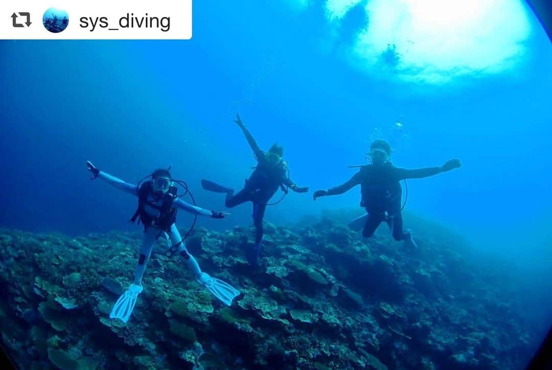 大島優子さんのインスタグラム写真 - (大島優子Instagram)「#repost @sys_diving via @PhotoAroundApp 🐠🐟🐡 この度、スキューバーダイビングのライセンスを心友トリオ3人が取得したということで、スキューバーダイビング同好会を結成しました！！ 活動につきましてはこちらの【SyS diving同好会☺︎】専用アカウントでアップしていきたいと思います！！ お楽しみに〜〜🐠🐟🐡💕 ． ． #scubadiving  #diving  #心友トリオ #大島優子 #秋元才加 #宮澤佐江  いろんな海潜って いろんな写真を@sys_divingで アップしてきまーす🧜🏻‍♀️ 活動を広げていくつもりです。。。😏」5月12日 16時05分 - yuk00shima