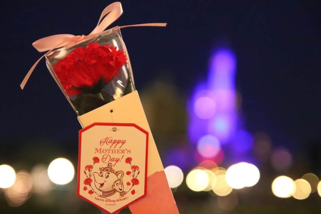 Hatamaさんのインスタグラム写真 - (HatamaInstagram)「＊ ＊  今日は母の日！  Happy MOTHES Day ‼︎ #tokyodisneyland #tokyodisneyresort #happymothersday #mothersday #carnation #disney #disneygram #disneygoods #disneylove #cinderellacastle #beautyandthebeast #カーネーション #母の日 #母の日のプレゼント #ディズニーグッズ #ポット夫人 #カメラ女子 #ディズニー女子 #シンデレラ城 #玉ボケ #ディズニー好きな人と繋がりたい #ディズニー好きな人と仲良くなりたい #ディズニー好き」5月12日 16時24分 - hatama_1118