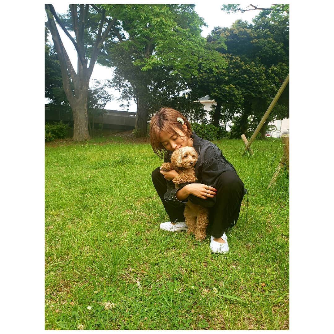 夏菜さんのインスタグラム写真 - (夏菜Instagram)「花かんむり👂🌼🐶🌼」5月12日 16時44分 - natsuna_official