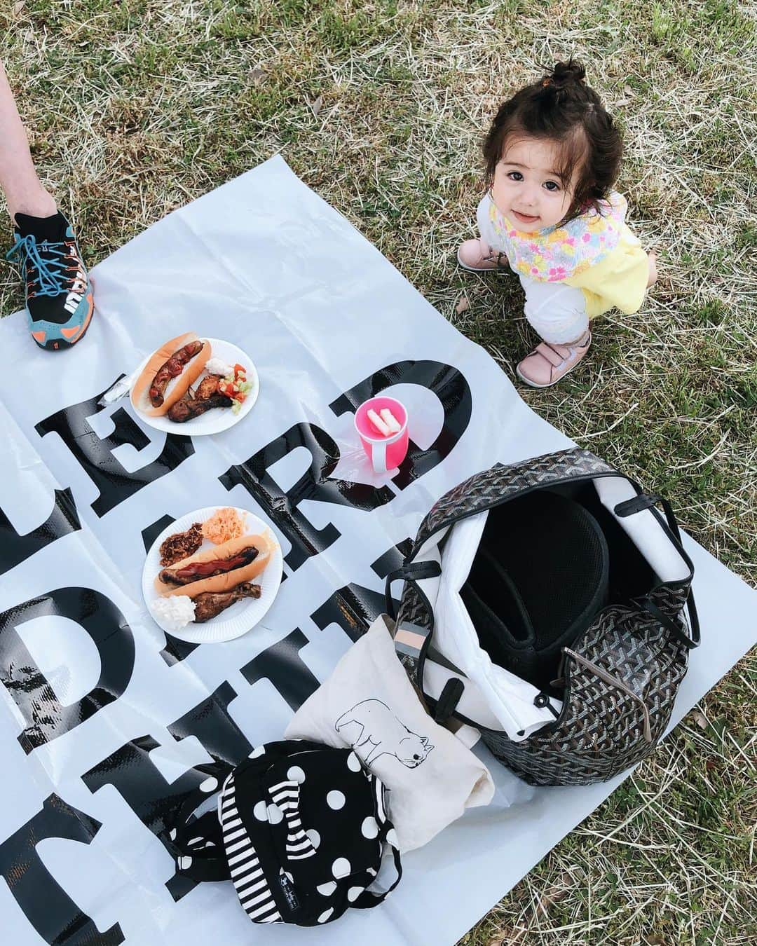 大橋菜央さんのインスタグラム写真 - (大橋菜央Instagram)「Perfect day for the kids picnic🌼 . . . ピクニック日和🌭♡ . ボールが大好きでお兄ちゃんたちのサッカーに参加したがるやんちゃMia⚽️ . 動きがすばしっこくなって すでに追いかけるのに必死😂 . . . #picnic #東京ピクニック #赤ちゃんとお出かけ #生後1歳3ヶ月 #生後15ヶ月 #たれ眉 #miababyliving」5月12日 17時26分 - naoliving