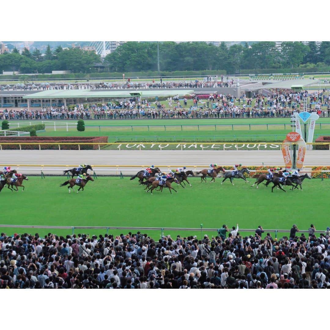 のインスタグラム：「第14回ヴィクトリアマイル🐴 勝ったのはノームコアでした。 1:30.5‼️レコードです✨ 関係者の皆さま、レーン騎手、おめでとうございます🥰 ⁑ #津田カメラ #ヴィクトリアマイル #ノームコア #レーン騎手 #おめでとうございます #東京競馬場 #府中 #競馬 #tokyoracecourse #umajo #まりなる #津田麻莉奈」