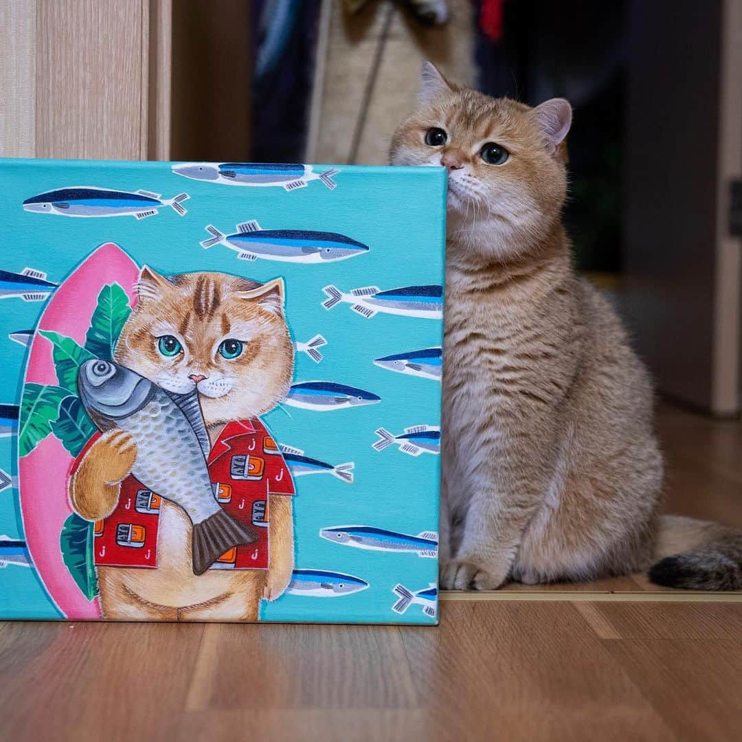 Hosicoさんのインスタグラム写真 - (HosicoInstagram)「I really like this portrait 🏄🏼‍♂️🐬🌴 Great artist @stellathedreamcatcher」5月12日 17時37分 - hosico_cat