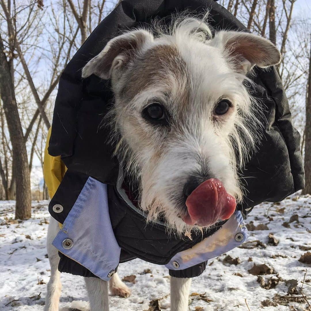 カシー・カタンツァーロさんのインスタグラム写真 - (カシー・カタンツァーロInstagram)「Mr. Mogley. 🐐 Being your Mom was my favorite. I miss you everyday. ♥️」5月13日 3時33分 - katana_wwe