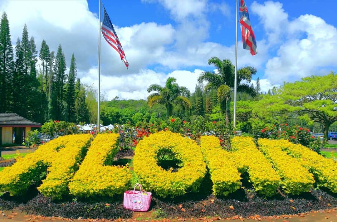 Moco Lima Hawaiiさんのインスタグラム写真 - (Moco Lima HawaiiInstagram)「Aloha to everyone♡  #ALOHA#hawaii#sunday#vacation#mothersday#trip#mylife#photography#chocolate#island#yummy#bluesky#niceweather#photogenic#spot#world#amazing#great#wonderful#beautiful#awesome#nice#nicepeople#niceday#happytime#thanks#weekend#mocolima」5月13日 3時59分 - mocolimahawaii