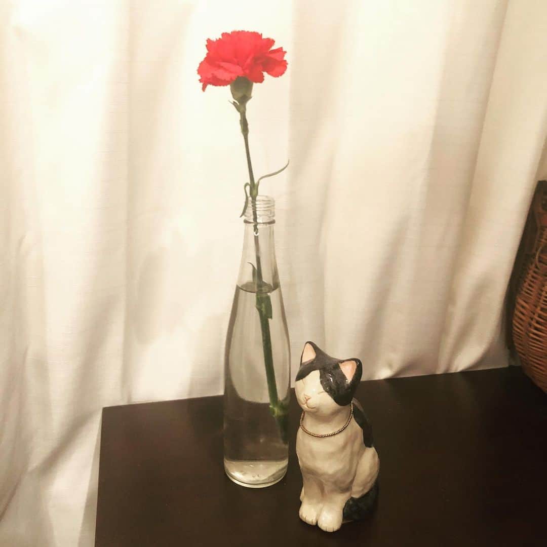 のインスタグラム：「今日は母の日。 お母さんいつもありがとう😊😊😊 #母の日」