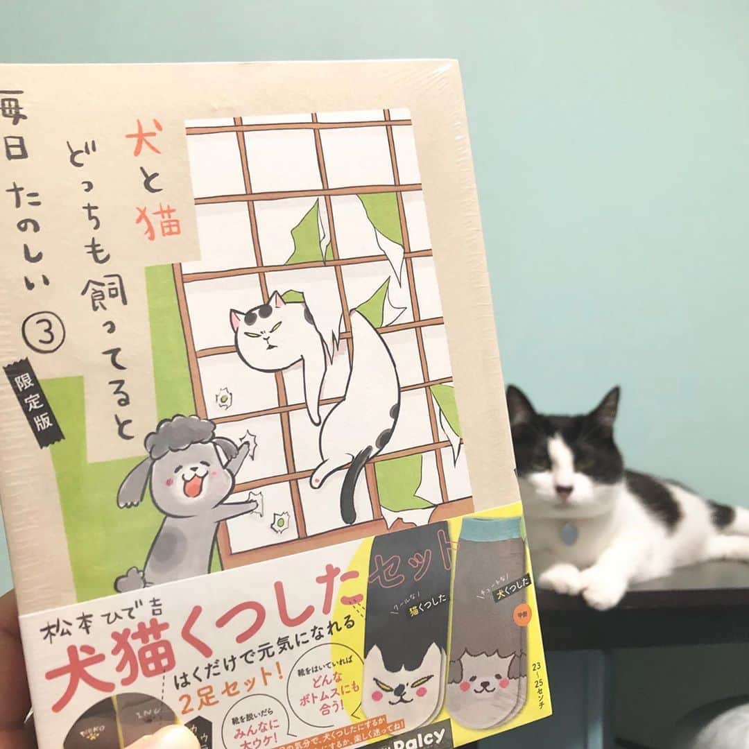央雅光希さんのインスタグラム写真 - (央雅光希Instagram)「ゲットぉぉぉぉー😆 #犬と猫どっちも飼ってると毎日たのしい #靴下付き #最高に共感出来る漫画」5月12日 19時50分 - tatatata_ayk