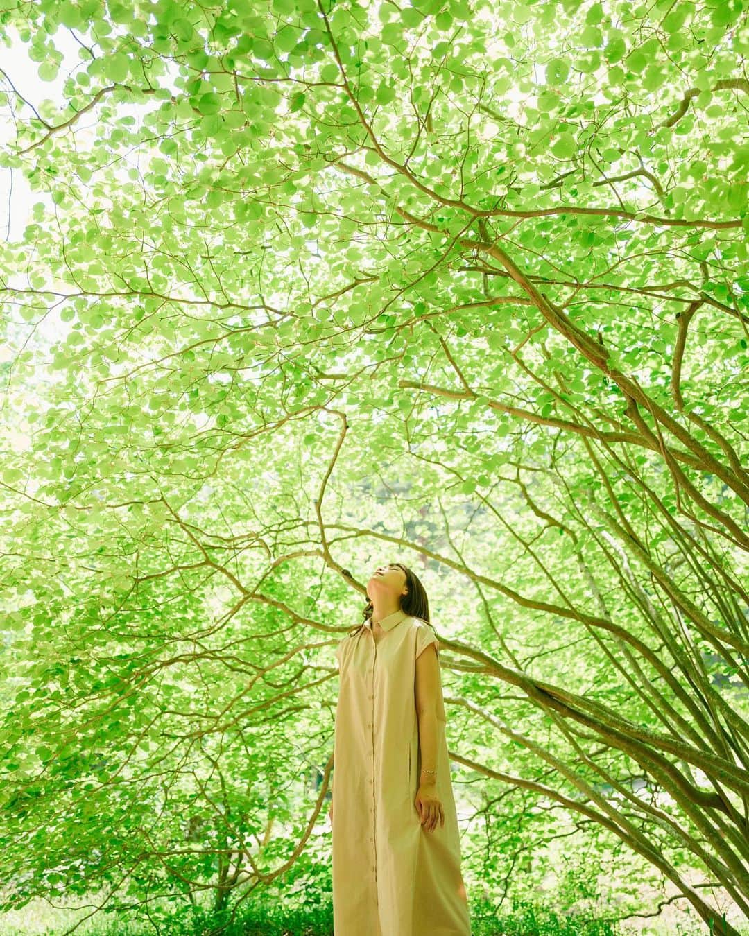 sorayuchiのインスタグラム：「green 🌿 ・ 新緑が美しい季節がやってきた☺︎」