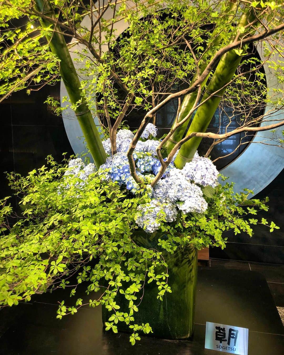 ホテル ニューオータニさんのインスタグラム写真 - (ホテル ニューオータニInstagram)「Hydrangeas in light blue liven up the atmosphere in the lobby.  淡い青色が美しい紫陽花の装花が、ロビーに涼やかな風を運んでくるようです。 #紫陽花 #あじさい #装花 #ロビー #エントランス #草月流 #初夏 #赤坂 #ホテルニューオータニ #hydrangea #hydrangeas #lobby #flowerarrangment #presummer #forbestravelguide  #preferredhotels #akasaka @hotelnewotanitokyo」5月12日 20時29分 - hotelnewotanitokyo
