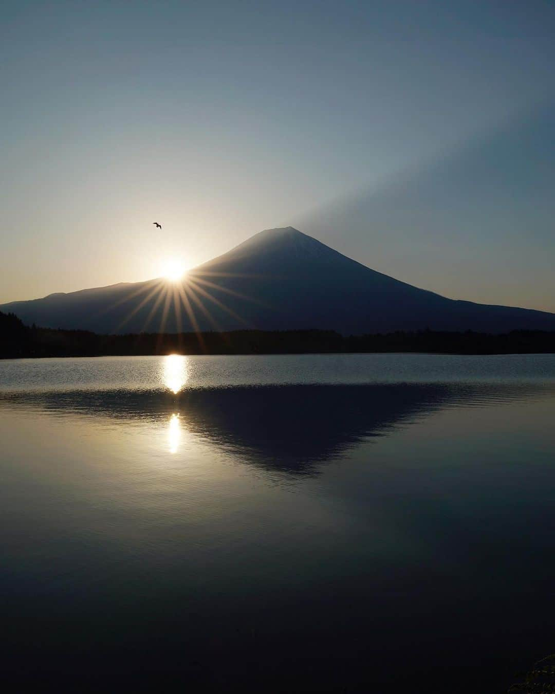 masayaさんのインスタグラム写真 - (masayaInstagram)「Sunday Sunrise  Lake Tanuki 今朝の田貫湖 日の出 #Fuji #富士山 #日の出」5月12日 20時54分 - moonlightice