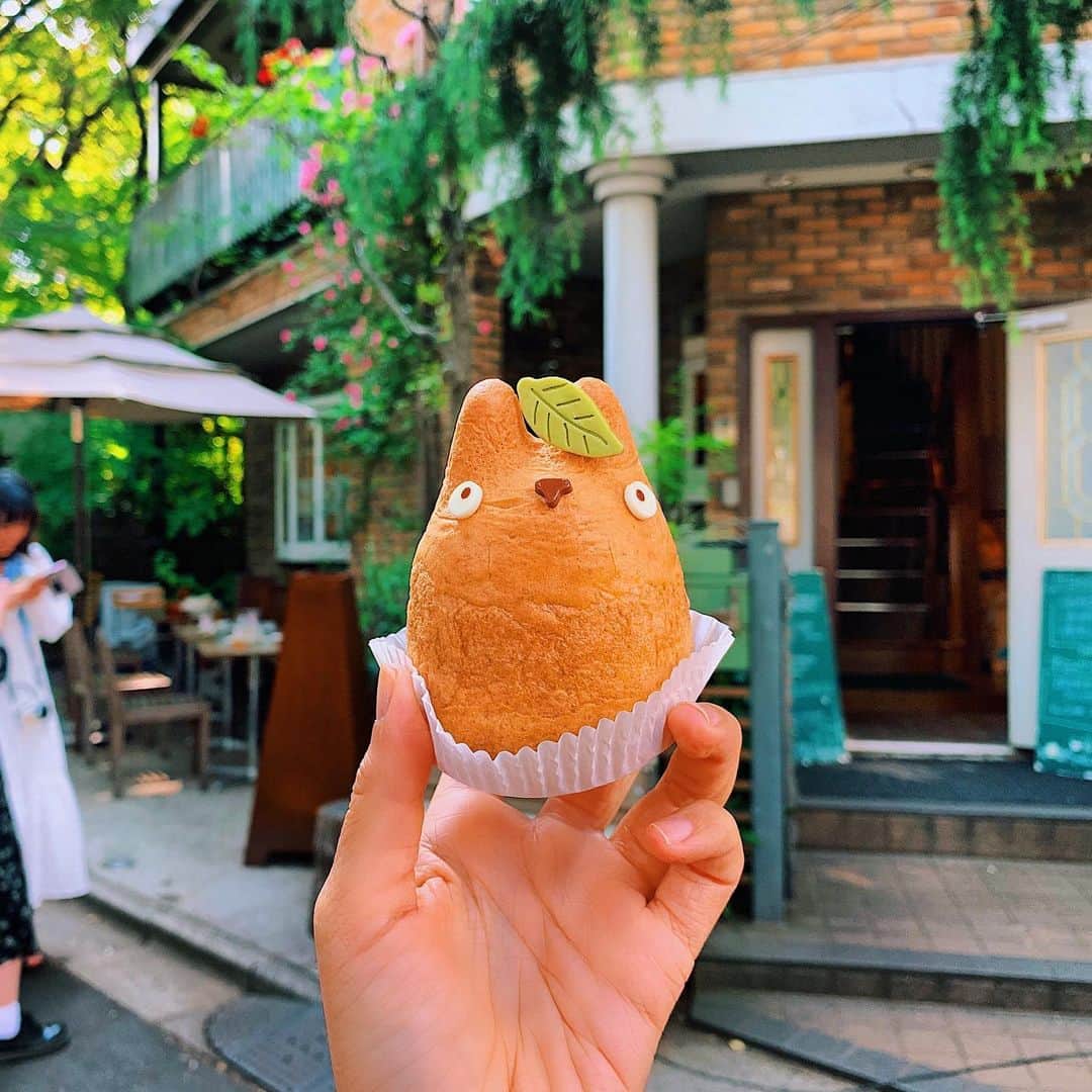 Girleatworldのインスタグラム：「Back in Tokyo again for the annual pilgrimage to my favorite city in the world! This time I finally got to stop by the place I've been wanting to visit. Does anyone NOT love Totoro? This is a Totoro-shaped cream puff from Shiro-hige Creampuff Factory. They come in four flavors (custard, chocolate, strawberry and green tea) but I personally think the regular custard one is the best.  The shop is located just a short walk away from Shimokitazawa station, which I totally recommend to visit if you're ever in Tokyo. It's just a few station away from Shibuya but it's a totally different vibe. Very quiet and residential, perfect for a slow afternoon stroll.  The creampuff costs 420 yen each. I recommend to have the creampuffs to go bc there is an extra fee for having it at the cafe (it becomes 465 yen). #shotoniphone #girleatworld #totoro #shimokitazawa #tokyo #japan #ghibli #shirohige #creampuff  #custard #studioghibli」