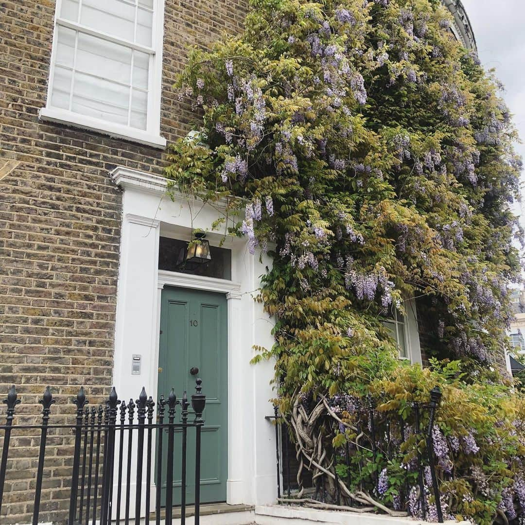 後口早弥香さんのインスタグラム写真 - (後口早弥香Instagram)「Flower編。in London💐 Londonのお店やおうちはお花で綺麗に飾られている所がいっぱい。 すごく素敵でした…♪ #london #flower #ロンドン 🇬🇧」5月12日 20時47分 - sayaka.atoguchi