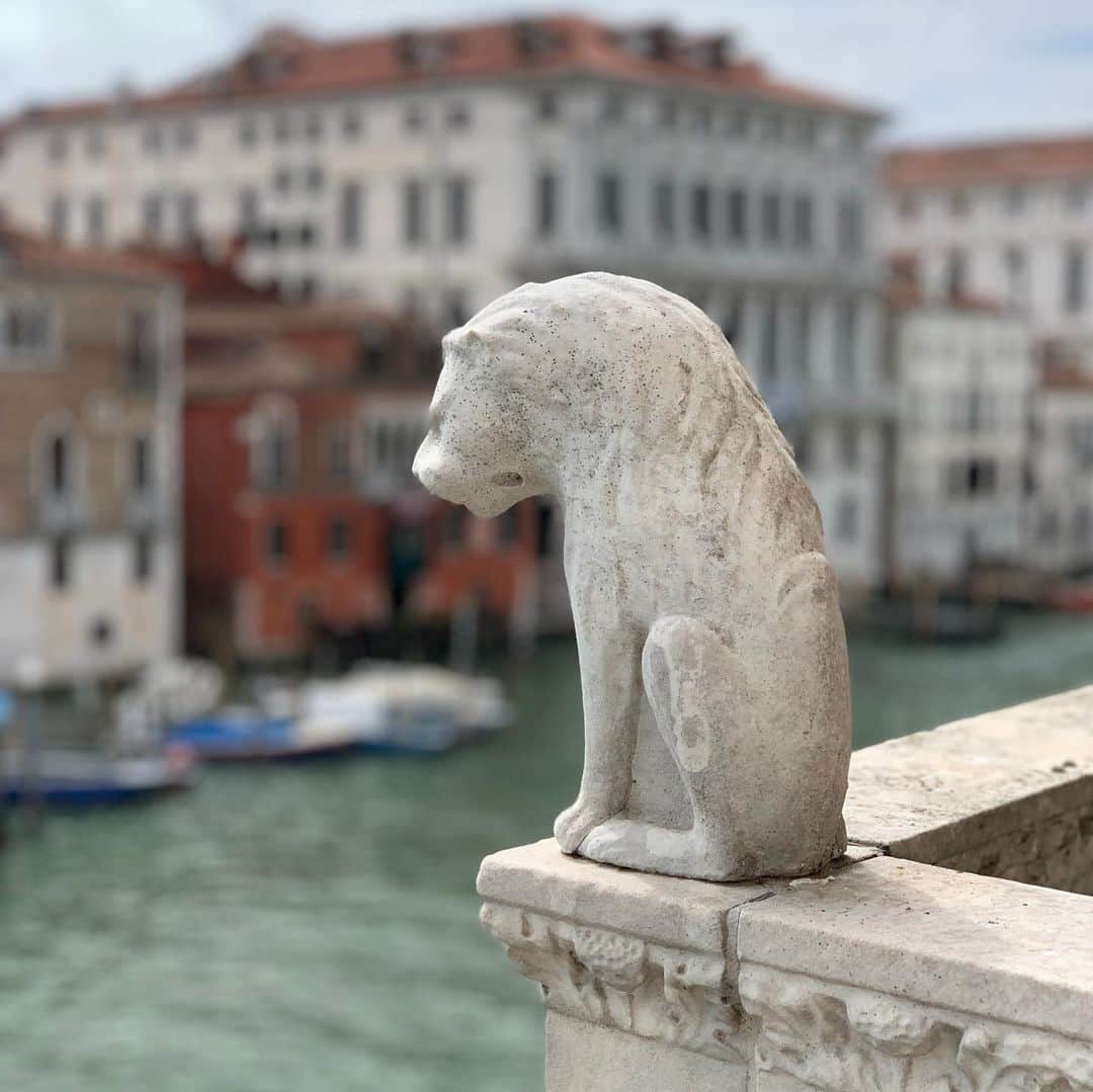 サラ・バレリスさんのインスタグラム写真 - (サラ・バレリスInstagram)「Once again I am mystified by the magic of this of this wide and wonderful world. Grazie Venezia...sei bellissima. 🧳🗺❤️ @joetipps」5月12日 21時26分 - sarabareilles