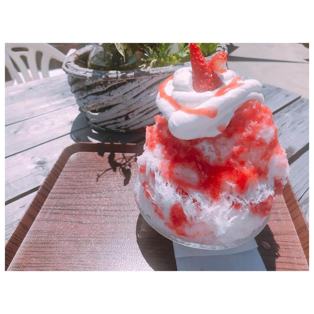 のインスタグラム：「かき氷始めました🍓 中にソフトクリーム入ったかき氷はお初。 夏よはよ来い。 苺色ワンピ&入手困難なUSAコンバース"CLOSET"に入荷中です♡ #shaveice #下田南豆製氷所  #yum #fashion #herfeecloset #used #vintage #usaconverse」