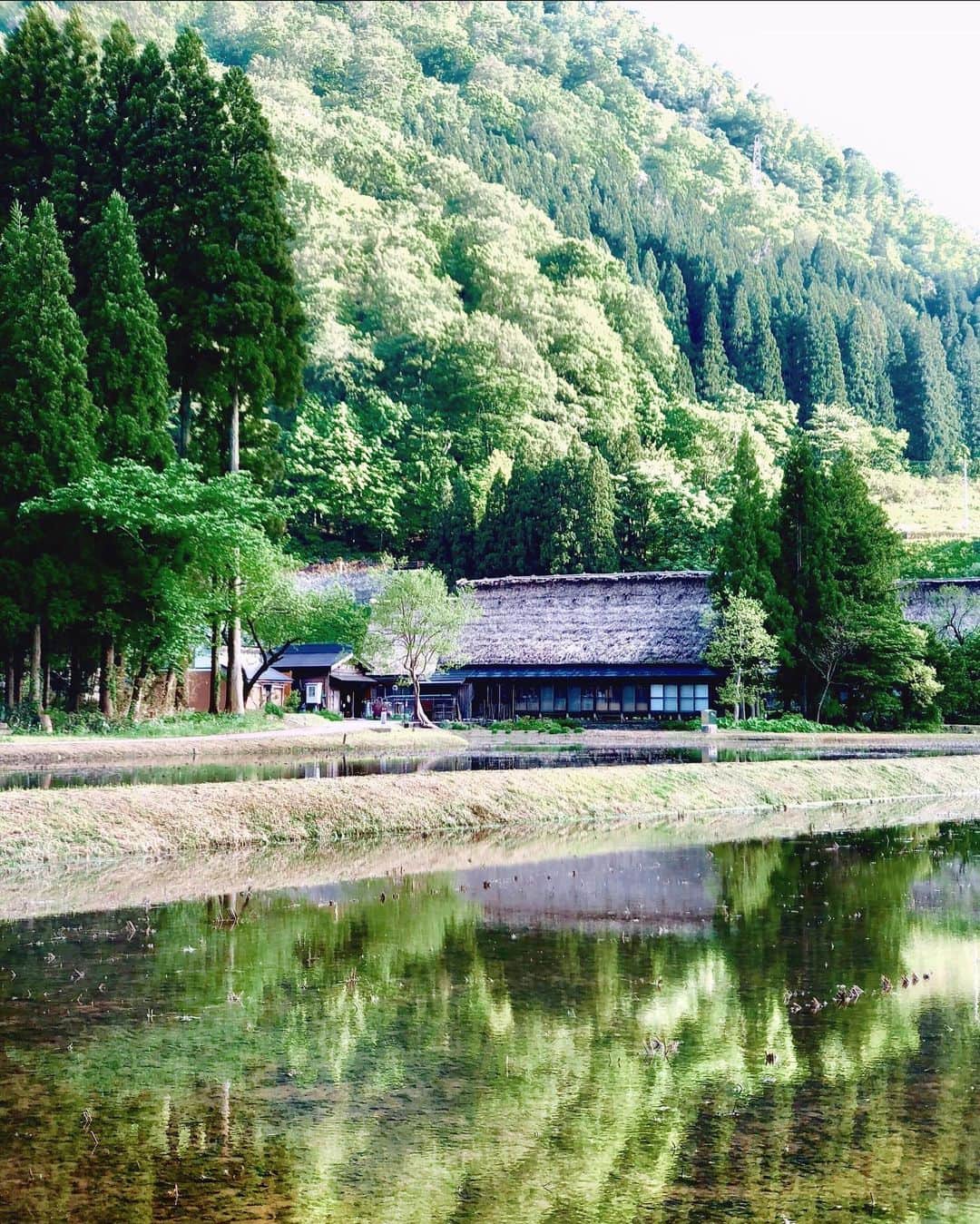 Koichiのインスタグラム：「. . Green village . #BeautifulJapan #ShotOniPhone . Attachment lens by @tokyo_grapher Tele Lens 50mm #TG_Tele #ShotOn_TG .」