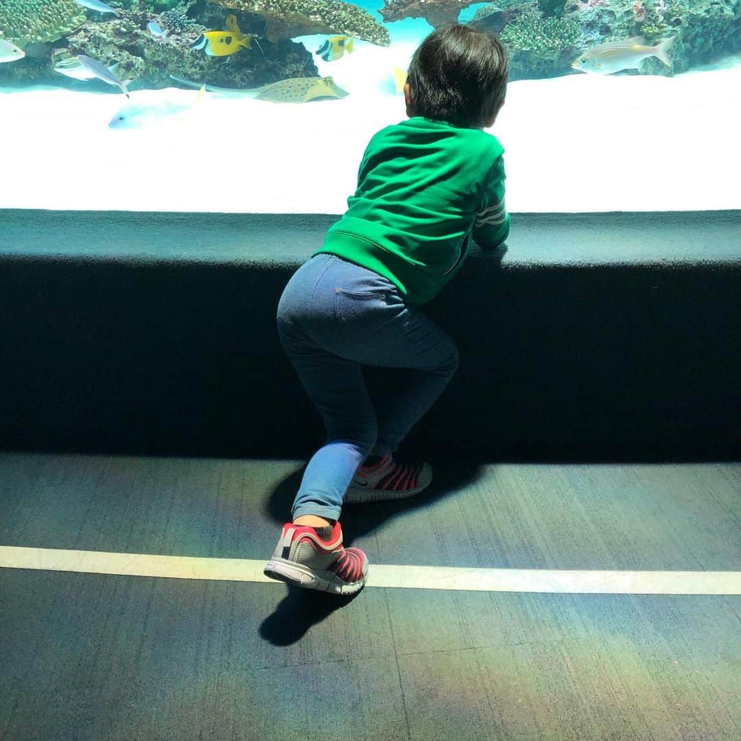 佐藤幸子のインスタグラム：「#水族館#プリケツ#水族館でプリケツ」