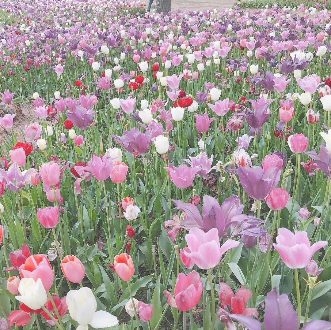 のインスタグラム：「母の日🌹 今年は2人の母へ感謝の気持ちを♡ . . 歳を重ねるごとに、母への 感謝の気持ちも大きくなるね☺️ . . 旦那さんのお義母さんにも ほんと良くしていただいて こんな素敵な母が２人いることに 日々感謝です。 . . #母の日 #mothersday」