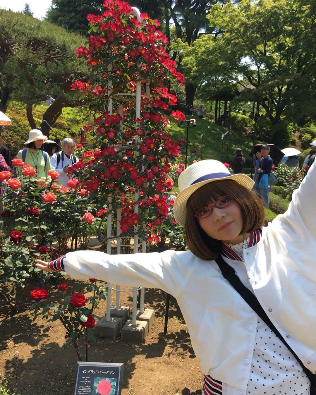 のインスタグラム：「昨日春バラを見に行ったのは旧古河庭園です！🌹🤣 . . . しばらくは満開のバラを楽しめるみたいです！🤣👍 . . . 好きなバラに投票するコーナーがあって、きべは一番最後の白いバラ（ユキサン）に投票しましたよ！🤣 . . . えっ？何故かって？ . . それは… . . ベッキーちゃんが演じた役の名前だったからです🎬✨😆👍 . . . . #薔薇 #薔薇の花 #薔薇の香りに包まれて #roses🌹 #rosegarden🌹 #beautifulflowers💐」