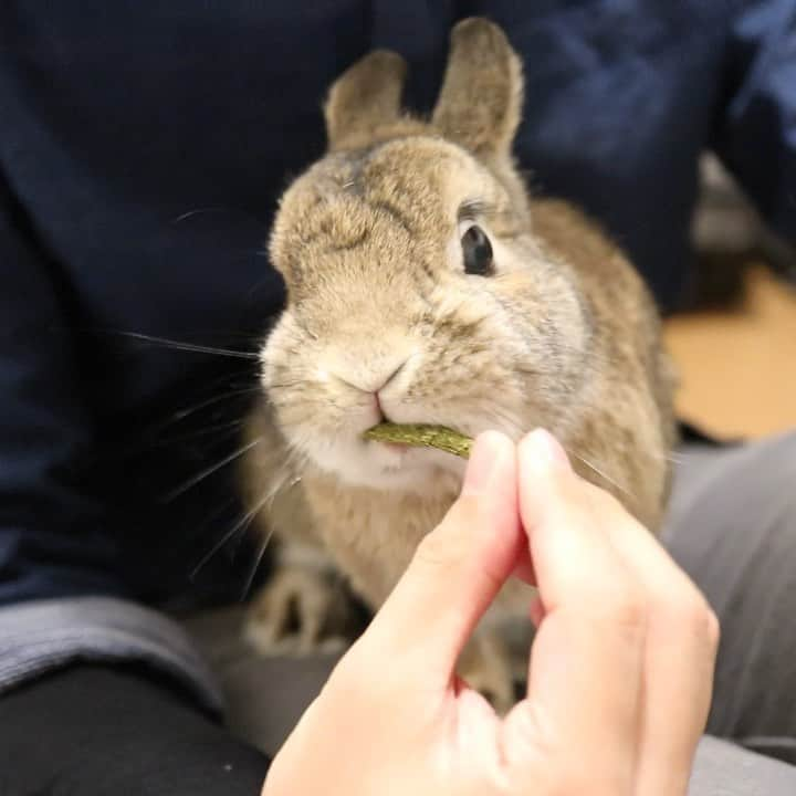 うー & なー ❤️ウチムラのインスタグラム