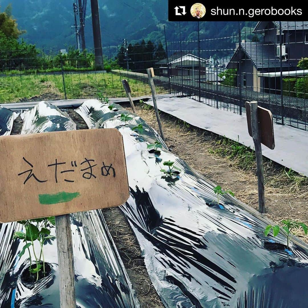 Gero City【下呂市公式アカウント】さんのインスタグラム写真 - (Gero City【下呂市公式アカウント】Instagram)「#Repost @shun.n.gerobooks with @get_repost ・・・ 百姓2年目。 去年はノーガードで獣にやられた我が家の畑。今年は色々と防御策を思案してスタート。 早々にシシガミ様の洗礼を受けましたが、防御ネットを直して、本日無事に定植。  植えてくれたのは息子と娘。丁寧に植えてくれて、手作りの看板も作ってくれました。 親子で育てる野菜の味はきっと格別なはず！  夏が楽しみ〜！！ #higashiuedays #家庭菜園 #獣害対策 #親子畑 #gerobooks #gerostagram #下呂アンバサダー #gero_onsen #gifu #japan #下呂市 #下呂温泉 #岐阜  #กิฟุ #ประเทศญี่ปุ่น #japon」5月12日 23時10分 - gerostagram