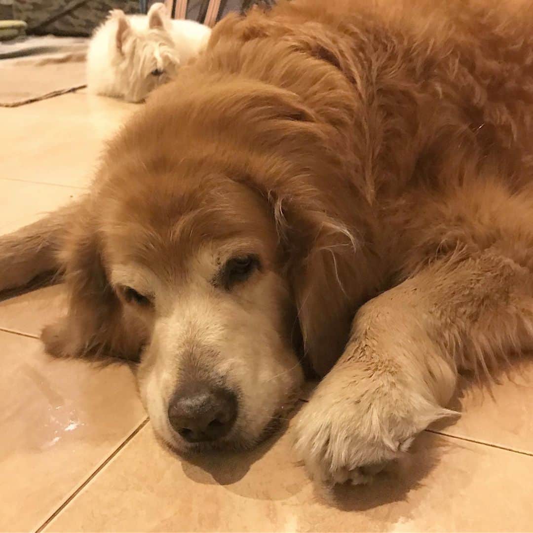 Hoykong&Plamuekのインスタグラム：「Good night ❤️」