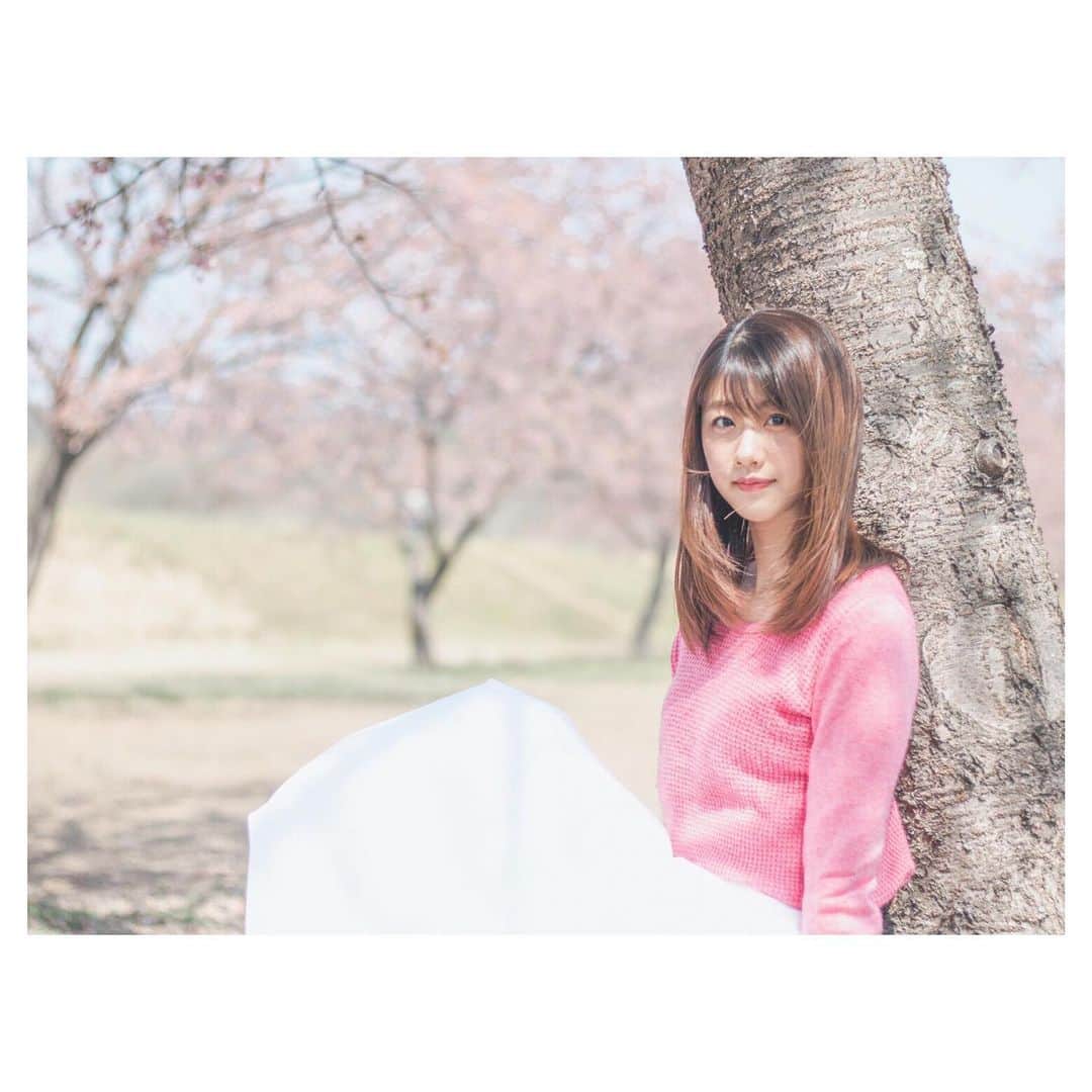 のインスタグラム：「🌸」
