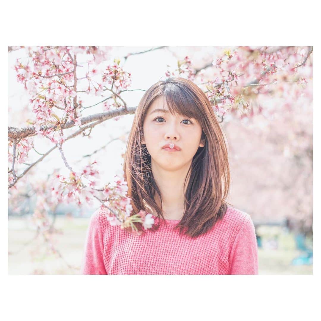 のインスタグラム：「🌸 写真あげないまま 桜の時期が終わってた。。。」
