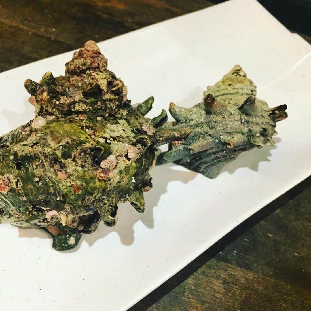 のインスタグラム：「今日は新鮮なサザエが入ったので、つぼ焼きでおススメしました。 いつもよりめちゃくちゃ大きいです😵 あっという間に完売、ありがとうございました😊  #イーマ#花椿#個室#梅田#和食#北新地#instagood #instafood #photooftheday #osaka #お造り#日本酒#日本酒女子#肉#魚#大阪#阪神百貨店#女子会#宴#サザエ」