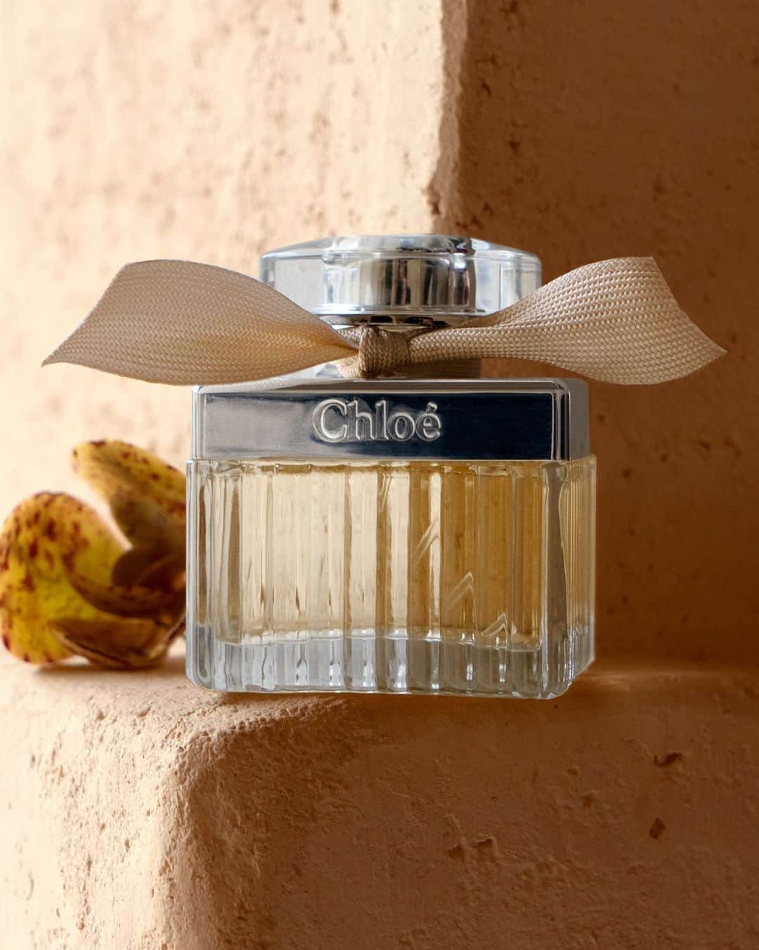 Chloéさんのインスタグラム写真 - (ChloéInstagram)「For her special day, treat her to a fragrant gift from Chloé  Shop gifts on chloe.com  #chloeGIRLS #chloe」5月13日 0時39分 - chloe