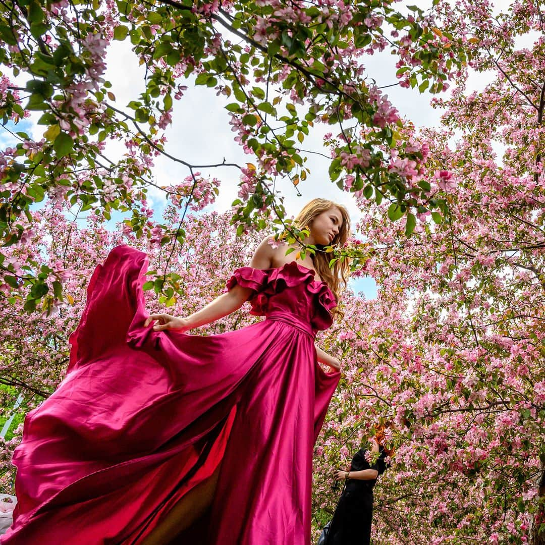 AFP通信さんのインスタグラム写真 - (AFP通信Instagram)「#AFPrepost 📷 @torbalancho - Women pose for photographs in front of the cherry blossoms at Kolomenskoye Park in Moscow on May 11, 2019.Hundreds of Moscovite women take advantage of the sunny weather and the cherry blossoms to take pictures in extravagant attire for their social media accounts. #cherryblossoms #spring」5月13日 0時54分 - afpphoto