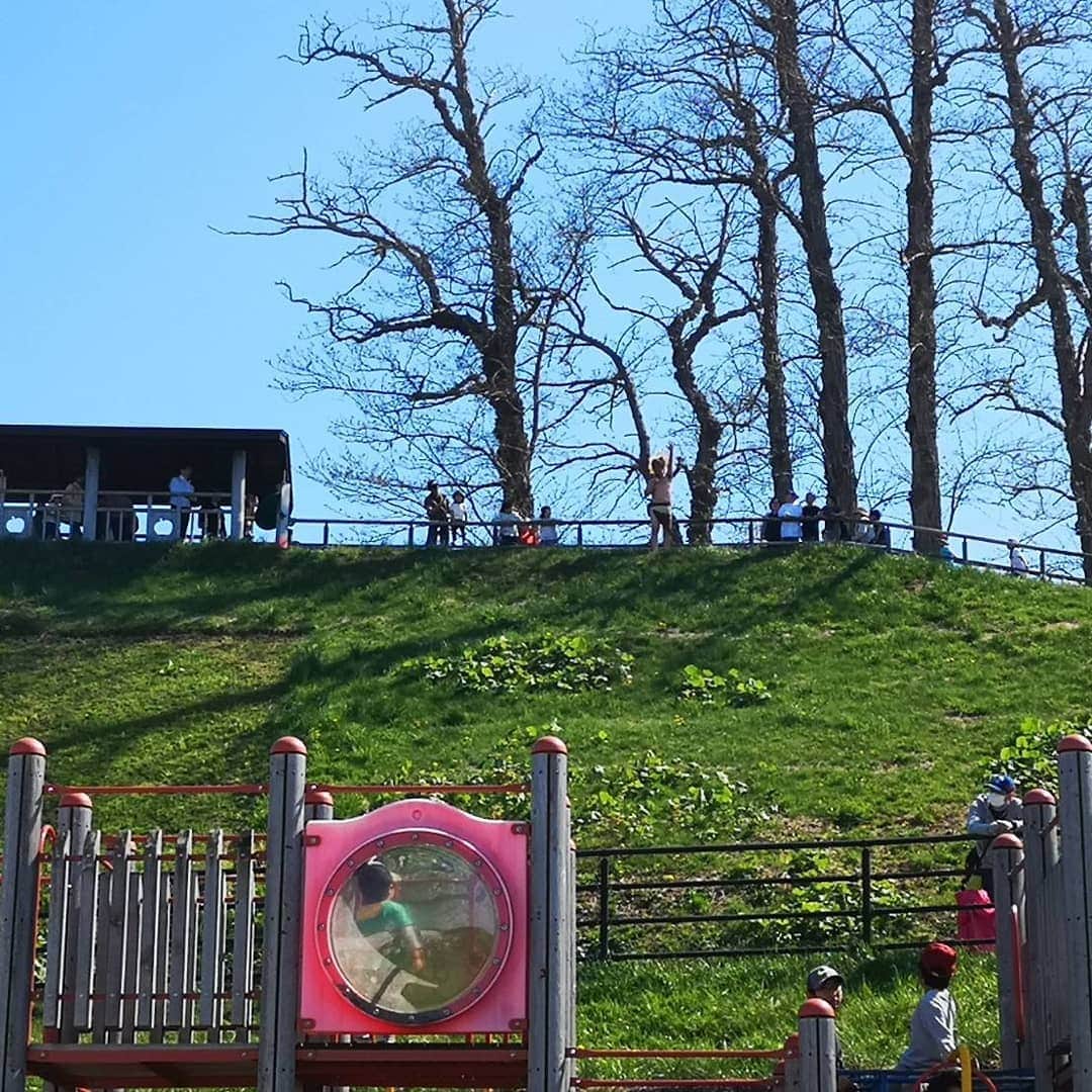 大西ライオンさんのインスタグラム写真 - (大西ライオンInstagram)「弘前市にある「りんご公園」のリニューアルオープンのイベントでの一コマです。良い感じのプライドロック(小高い丘)がありましたので、一叫びしてきました！ストロークが長すぎて、途中マラソンみたいになってましたが。 #大西ライオン #プライドロック #りんご公園」5月13日 1時07分 - onishilion2010