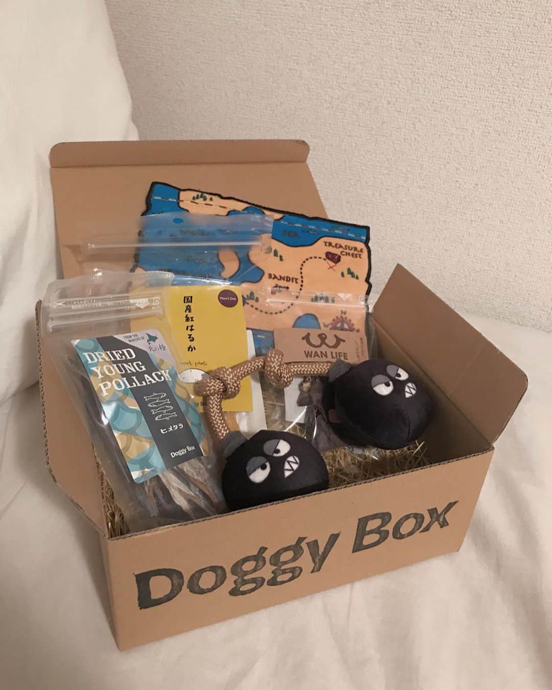 おもちくんさんのインスタグラム写真 - (おもちくんInstagram)「doggy box📦届いたよ🌊 バクダン💣🗺🏴‍☠️🌊かわいすぎる~ おやつもおもちゃもうれしすぎて 身を乗りだしたよ😂#身を乗りだし男 #doggybox #ドギボ」5月13日 1時29分 - omochi_kun