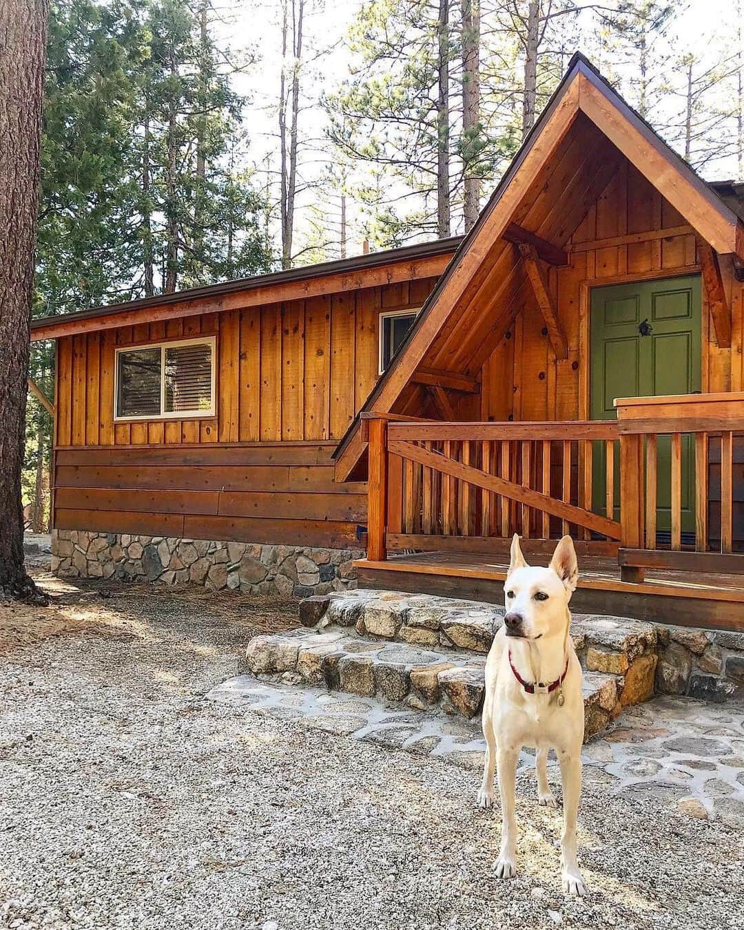 Airbnbさんのインスタグラム写真 - (AirbnbInstagram)「A giant backyard, countless forest creatures and even a cozy dog bed—it’s tempting to stick around Janella’s cabin all day. But at some point you have to take your humans out for their exercise. Start them off gently with a hike on the nearby Ernie Maxwell Scenic Trail.  Photo: @idyllrock」5月13日 1時33分 - airbnb