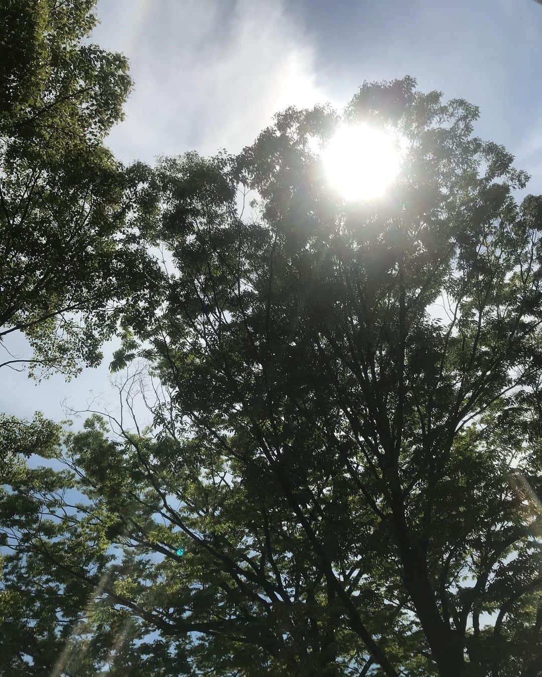 樹智子さんのインスタグラム写真 - (樹智子Instagram)「わたしとは遠くて生反対で隠れていても、すぐにいつも見つけ出してくれるあたたかさ。  #心の浄化 #シリーズ #空 #自然 #太陽」5月13日 1時44分 - tomocomch