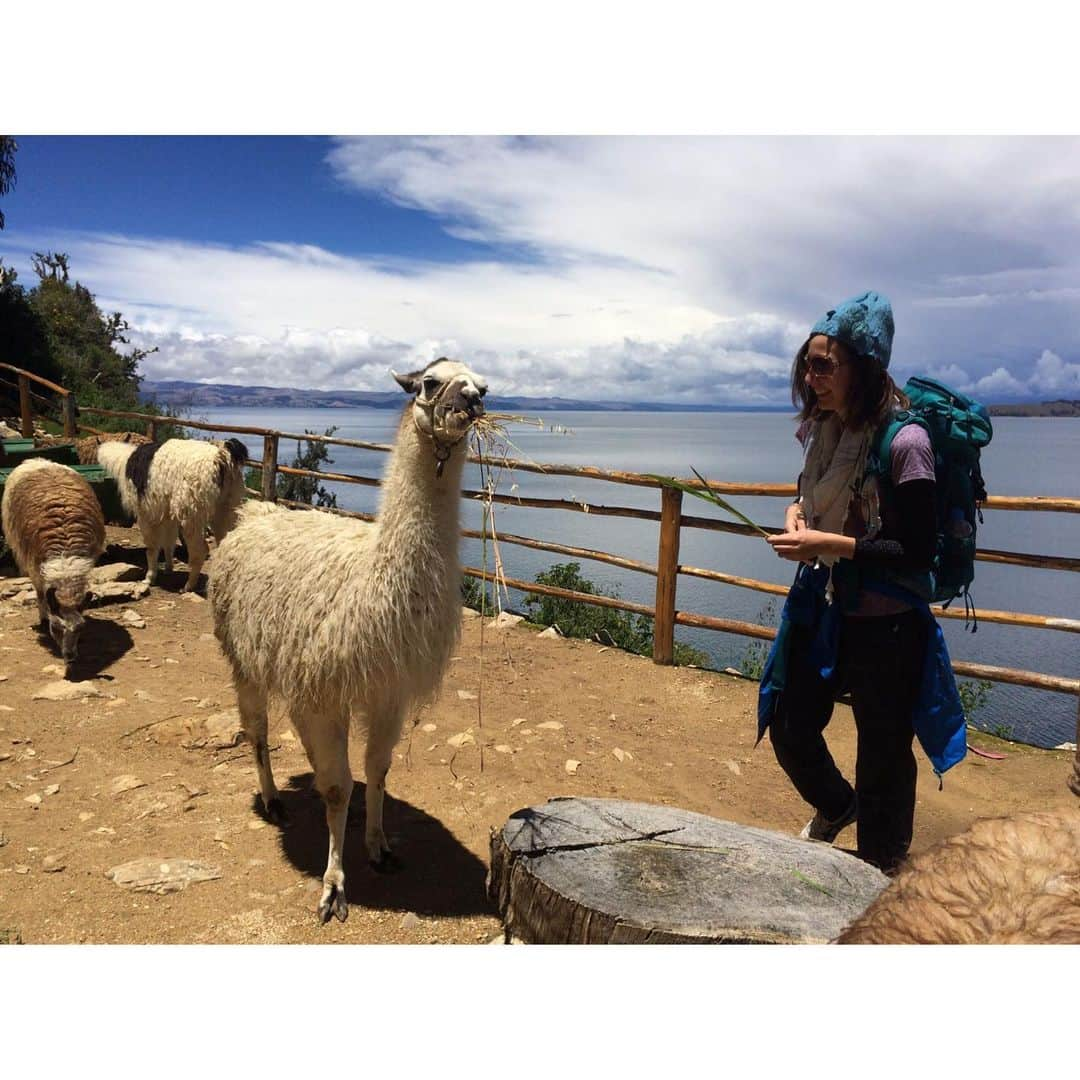 空木マイカさんのインスタグラム写真 - (空木マイカInstagram)「今週末5/18(土)のルププはボリビアを旅します！ゲストスピーカーはなんとイレーネでーす❤️ぜひ遊びにきてくださいね😊 ・ 14:00~ 絵本読み聞かせあい会 ・ 14:45~ボリビアのお話(スピーカー：イレーネさん)「地球の反対側、ボリビアの豊かな文化をのぞいてみよう！」 ・ ボリビアという国を知っていますか？ボリビアの魅力は、ウユニ塩湖を始めとする大自然だけじゃないんです！世界一高いところにある空港、ラパスに着くと目に飛びこんでくるのは、インドヘナ、先住民族の人たちの暮らし。インカ文明より古い民族や、オルーロのカーニバルなど、カラフルな文化をのぞいてみましょう！ ・ 15:00~  工作ワークショップ 【ボリビアのお祭りの仮面づくり】(材料費300円) ・ 15:15~体験ワークショップ「オルーロのカーニバルを体験してみよう！」 ・ ブラジルはリオのカーニバル、ペルーの太陽の祭りインティライミに並び、南米3大祭りの１つが、ボリビア、オルーロのカーニバル。先住民の人たちが大切にしてきた文化と、スペイン植民地時代の文化が混ざり合った、沢山の仮面や踊りが当時して、地域の人みんなが盛り上がります。ディアブラーダというちょっとひょうきんな顔をした悪魔の仮面や、猫さん、クマさん、リャマなど...馴染みのある動物達にも似ているかも！みんなで色んな顔を混ぜて、工作ワークショップで作ったお面をかぶってみんなで地球ひろばを練り歩きましょう！最後には魔女市場にたどり着く！？ ・ 場所はいつものJICA中部なごや地球ひろば 2階 セミナールームC-1です。お待ちしてまーす😊 #ルププ #jica中部なごや地球ひろば」5月13日 12時42分 - maika_utsugi