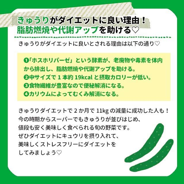 ヤセレポさんのインスタグラム写真 - (ヤセレポInstagram)「【きゅうりダイエットの効果を検証！ 減量結果は？おすすめレシピも】 . . きゅうりのカロリーは、 中サイズで1本あたりたったの約19kcal！ きゅうりダイエットの効果 簡単レシピを紹介します！❣️ . . より詳しく知りたい方は ヤセレポサイトも要チェック❤️ https://yaserepo.jp/11940  サイトでは他にも体験者のコメントや ダイエット方法を多数紹介😆 . . また、ヤセレポインスタでは、 たくさんのダイエット方法を紹介しています😊 💓フォローお待ちしています💓 . . . #ダイエット #ダイエット記録 #ダイエット仲間募集 #自分磨き #痩せたい #ダイエッターさんと繋がりたい #痩せる #インスタダイエット #ダイエット日記 #綺麗になりたい #ダイエット中 #可愛くなりたい #ダイエットアカウント #ダイエット部 #ダイエット女子 #糖質制限 #低糖質 #糖質制限ダイエット #糖質オフ #食べて痩せる #ダイエットメニュー #食事制限 #低糖質ダイエット #ヘルシーメニュー #ダイエット食 #デトックス #くびれ #便秘 #きゅうり #きゅうりダイエット」5月13日 12時43分 - eatopic_official