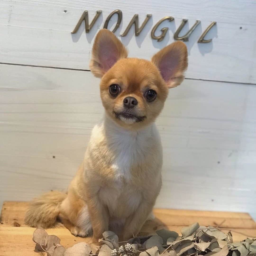瀬戸サオリのインスタグラム
