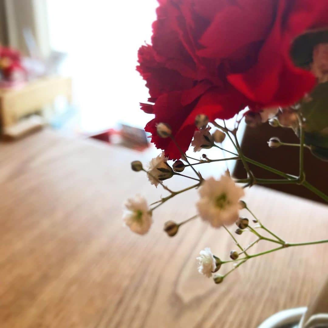 朝倉真司のインスタグラム：「カーネーションより霞草。」