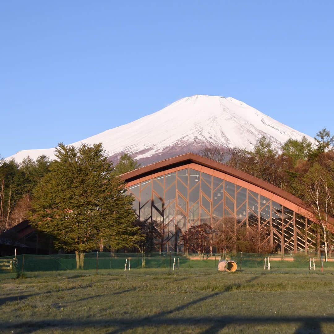 がんちゃんさんのインスタグラム写真 - (がんちゃんInstagram)「今回泊まったのは6年前もお世話になった #ドッグリゾートwoof さん。屋内外10個もドッグランがあるんですよー💕 早朝ドッグランから綺麗な富士山🗻が😆 その雄大な景色をバックにWで💩💩のてんタッキー🤣 2匹ともとても楽しそうに走っていました😊  2019年5月8日  #てんタッキー富士山の旅  #富士山の見えるドッグラン」5月13日 13時46分 - kota2ann