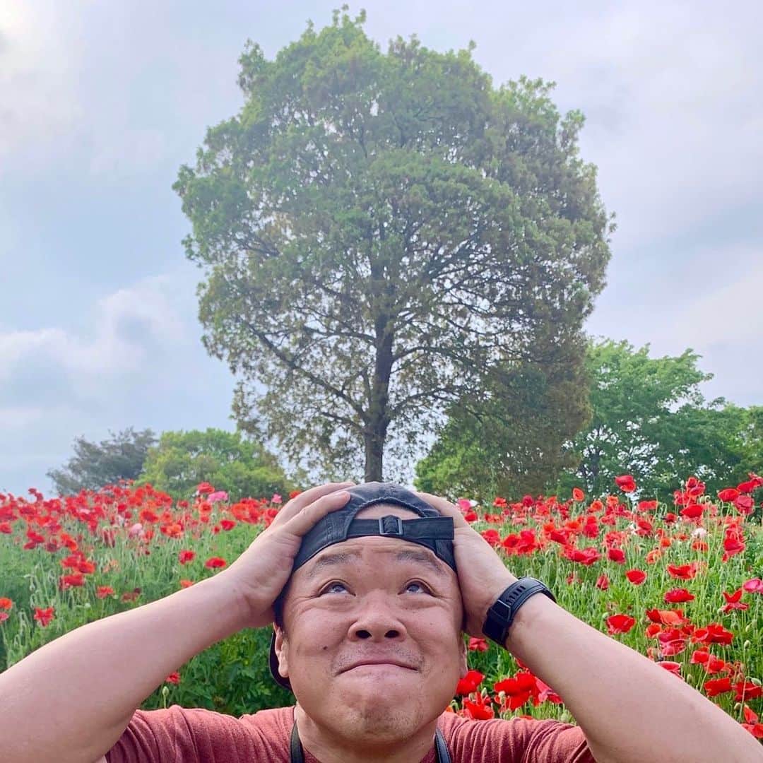 伊集院光のインスタグラム：「はえたー！」