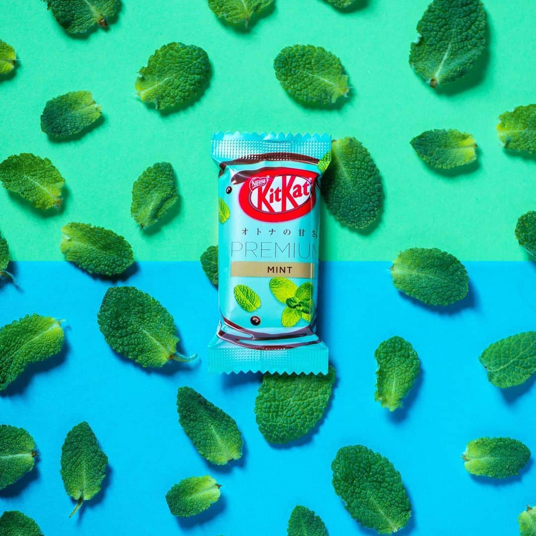 KITKAT Chocolatoryさんのインスタグラム写真 - (KITKAT ChocolatoryInstagram)「✨“KitKat Premium MINT”&”KitKat Premium PEACH MINT”✨﻿ ﻿ #キットカット から、”キットカット ミニ オトナの甘さ プレミアムミント”と”キットカット ミニ オトナの甘さ プレミアム ピーチミント”が発売。﻿ あなたはどっち派？🤔﻿ ﻿ #キットカット#ミント#チョコミント#ミントチョコレート#ピーチミント#チョコレート#チョコ#ミント味#kitkat#haveabreak#chocolate#sweets#mothers_day#킷캣#奇巧巧克力」5月13日 9時01分 - kitkat_japan_official