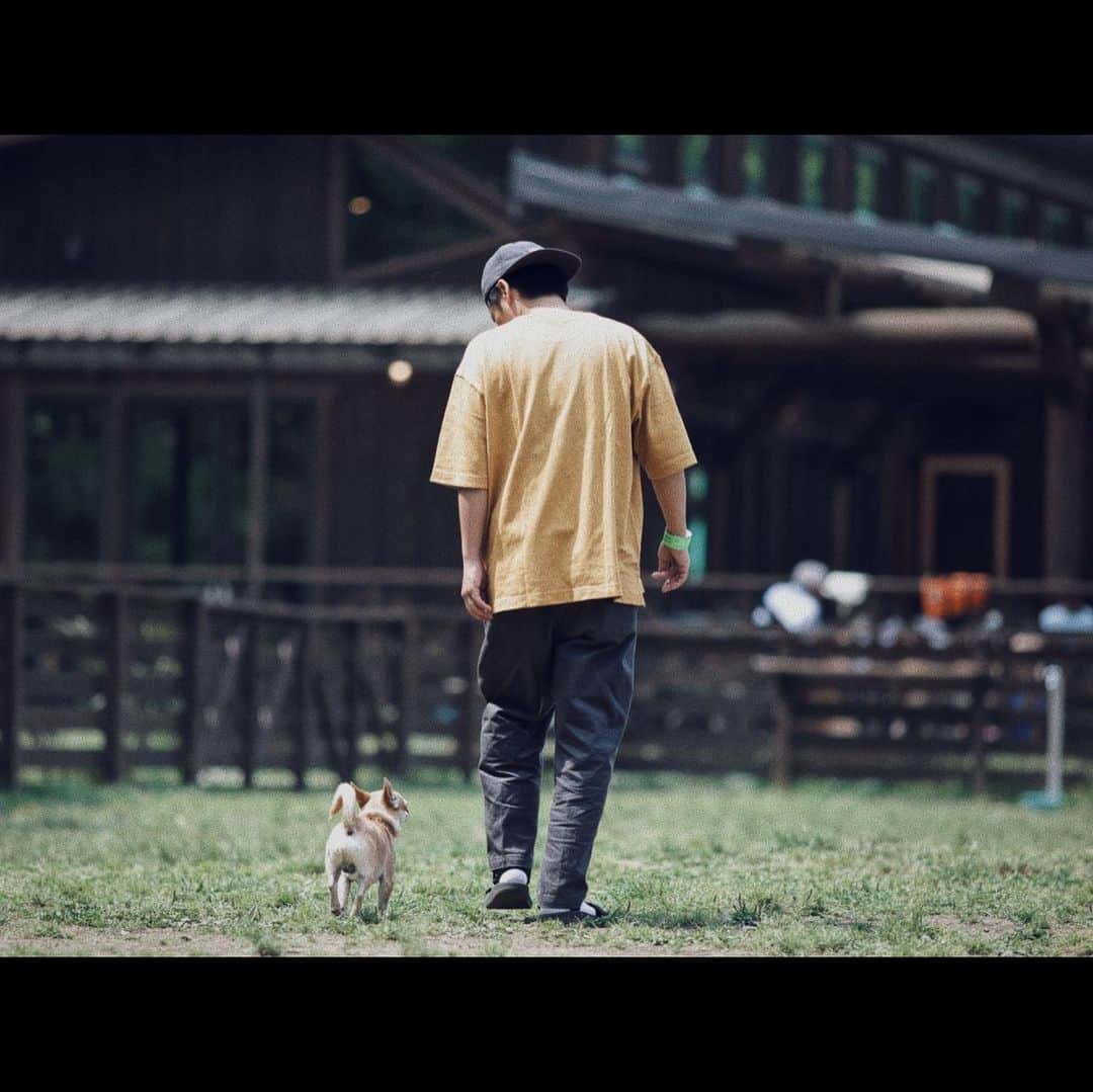 佐野真依子さんのインスタグラム写真 - (佐野真依子Instagram)「癒しのいぬにちようび🐕🐕🌼」5月13日 9時19分 - sanomaisanomai