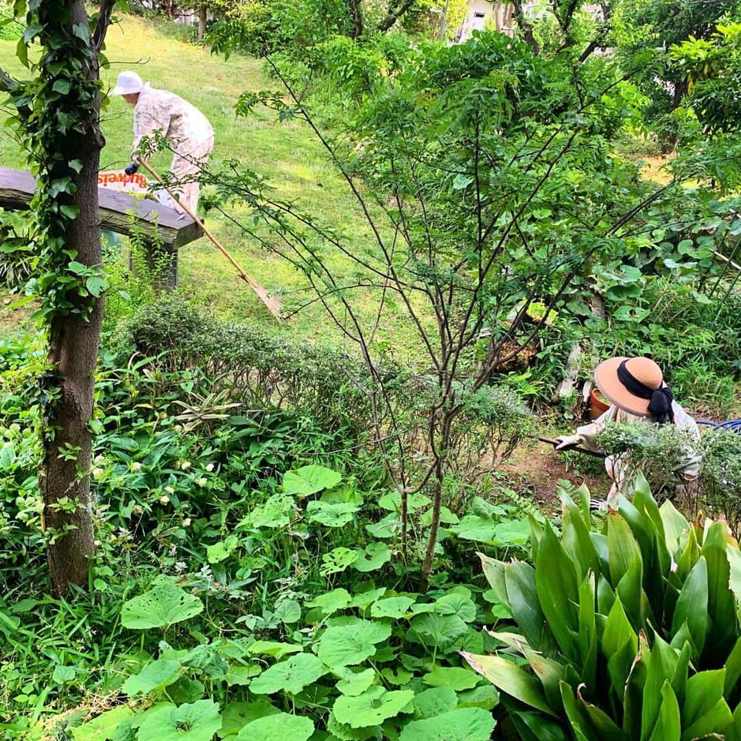 高松いくのインスタグラム