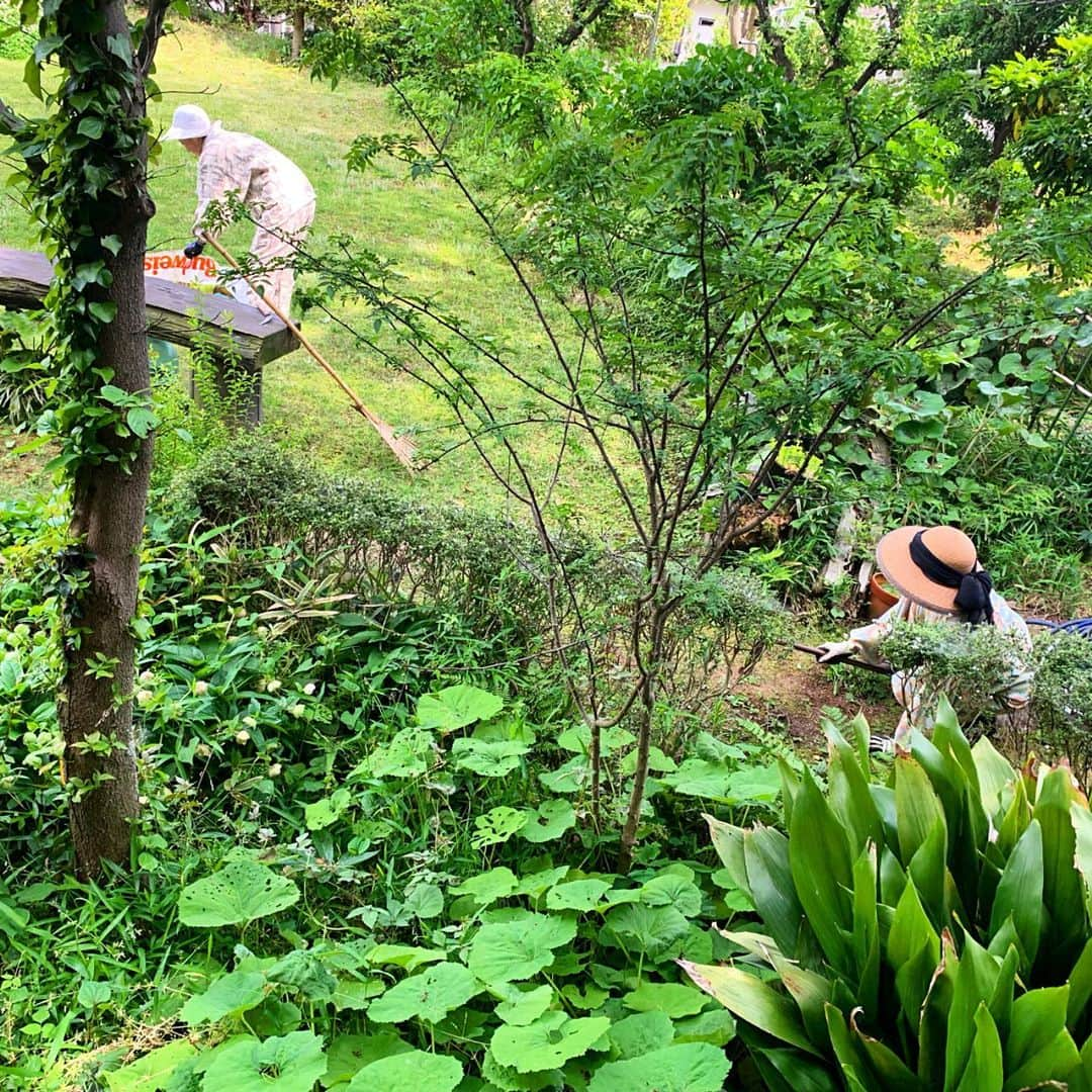 高松いくさんのインスタグラム写真 - (高松いくInstagram)「母の日は、 母と、母の母と、 お庭のお掃除と乾杯🥂 この写真撮ってる時点でサボってる🤣← 鳥の声と、へびと、蜂と🐝蚊と、 お花と土の香りと梅ジュース😊笑 のんびり平和な🕊時間でした🍀  Thank you for everything 🙌 Mother’s Day 🌺  #母の日 #母と祖母  #庭掃除  #ありがとう  #mothersday #thankyouforeverything #end #everyday #grandmother #mother」5月13日 9時33分 - iku_takamatsu_trip_sup_yoga