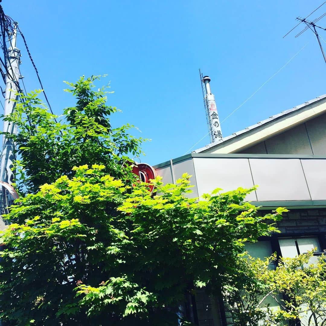 橋本塁さんのインスタグラム写真 - (橋本塁Instagram)「写真展オープン前の9:30から新潟5発目の銭湯は4日連続「金の湯」(個人的に日本一好きな銭湯)さんに行ってきました♪ 灼熱スチームサウナ⇆水風呂(4分&1分＝5セット)で昇天&整い！ 銭湯行ける恩を感じて礼儀よくこれぞまさに温冷浴ならぬ恩礼良く！ #サウナシュー #サウシュー #sauna #風呂 #フルタイム風呂タイム #桶美一門 #守湯努aka湯テンシル一門 #結局風呂す #温冷浴 #水風呂 #恩礼良く #新潟」5月13日 10時53分 - ruihashimoto