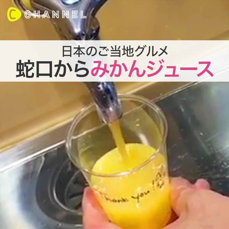 のインスタグラム：「🇯🇵愛媛と言えば・・・蛇口からみかんジュース🍹💛 . 💗Check👉 @cchannel_food 🎶 💗Follow me👉 @cchannel_girls 🎵 . 💄C CHANNELのアプリもよろしくお願いします😊💕 . まさにみかんづくしのホテル！  たくさんのみかんジュースの味を楽しめます♪ . . #みかんジュース#オレンジジュース#蛇口からみかんジュース#愛媛県#愛媛旅行#愛媛観光#国内旅行#観光名所#伝説#有名#オレンジ🍊#みかん🍊#フルーツジュース#みかん大好き#ジューススタンド#お茶時間#ティータイム#ごくごく#飲みたい#観光地巡り#おすすめスポット#インパクト#飲み物グラム#美味しい料理#愛媛グルメ#ホテル巡り#おすすめホテル#オレンジ色#フルーツ大好き」