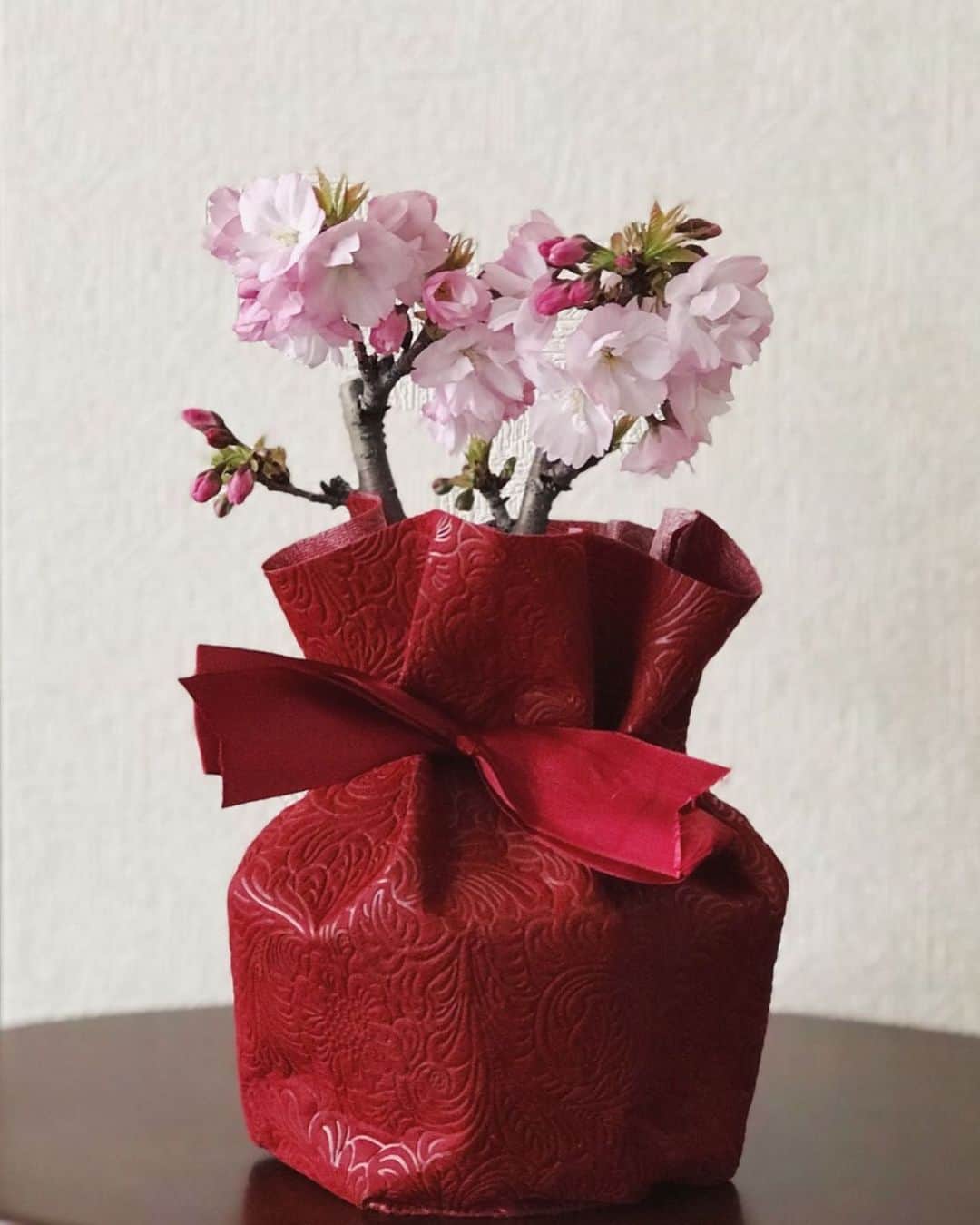 有働真帆さんのインスタグラム写真 - (有働真帆Instagram)「Mother’s Day🌸🤰🏻🤱🏻 #母の日 #sakura #bonsai」5月13日 11時46分 - maho_udo