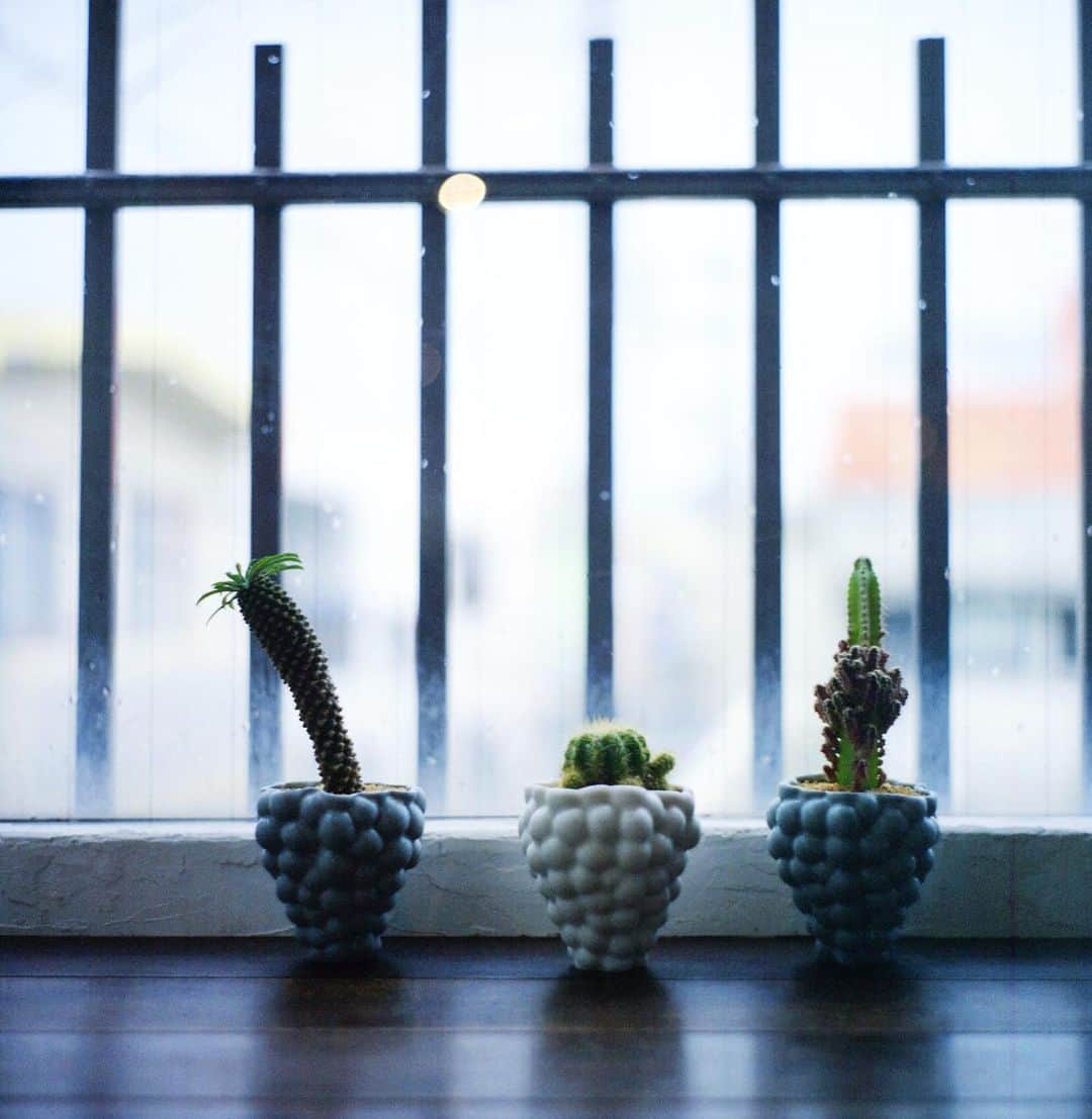 ゆうゆのグルメインスタ