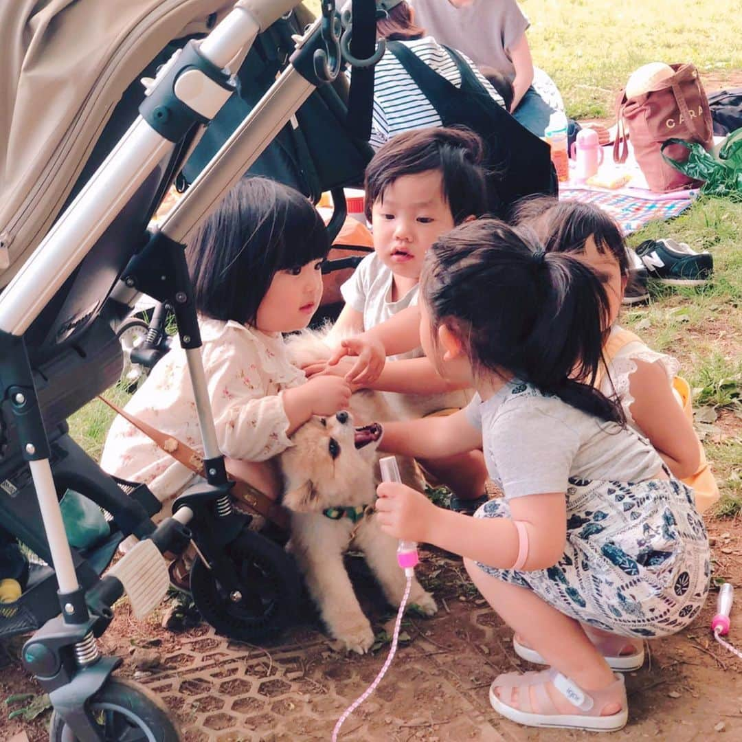 板橋よしえさんのインスタグラム写真 - (板橋よしえInstagram)「楽しかったピクニック🏕 太陽🌞の光の中、子供たちたっくさん遊んでいました🌈 娘は、アマネちゃんとアオバちゃんの真似をして縄跳びで遊んだり（まだ飛べないので手でぐるぐるまわしてピョンピョンするだけ😂）、アマネちゃんとアオバちゃんにシュッシュッポッポ🚃してもらったり（さなこちゃん、みんなを引率する先生のようだったな☺️✨） ふたりのおねえさんが憧れの存在みたいで、ずっと後ろをくっついてまわっていました😂 家に帰ってから「おねえさん、たくさん遊んでくれたね」と娘🧒🏻 また遊んでもらおうね☺️❤️ えみんこちゃんの息子くん👦🏻🦕は女の子たちに混ざるの恥ずかしそうにしててかわいかったあ😂 赤ちゃん👶🏻たちはもう！癒し❤️ たまらぬかわいさでした❤️ #ピクニック #3歳 #2歳 #0歳  #さなこちゃんちの🐶ユズ #そして #尊敬してやまない素敵なみんな @sanakoharada & れいちゃん @emiuto  @noconocoyuki  @kazuemiyamoto  @yucali_halcali & @asadawakame」5月13日 23時20分 - candy_yoshie